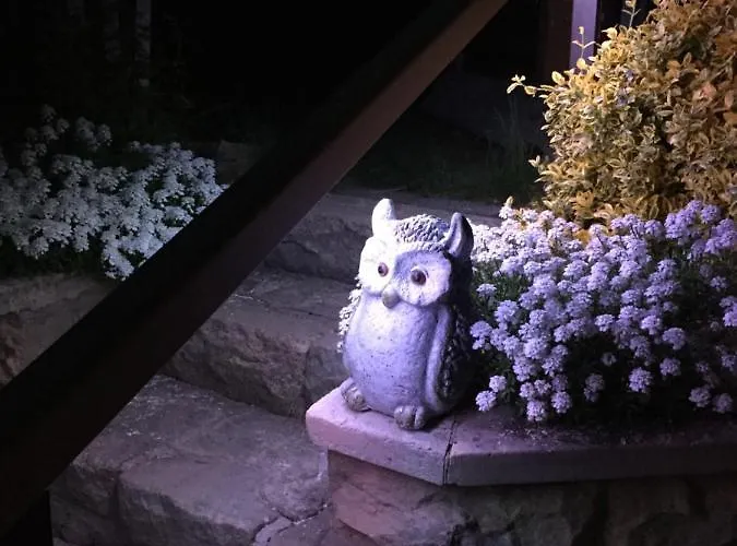 „kleine Liebe“ Appartement Bad Schandau