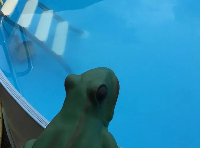 Appartement „kleine Liebe“